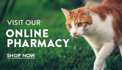 VCVC Online Pharmacy 